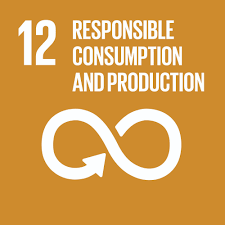 Home sdg12